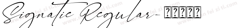Signatie Regular字体转换